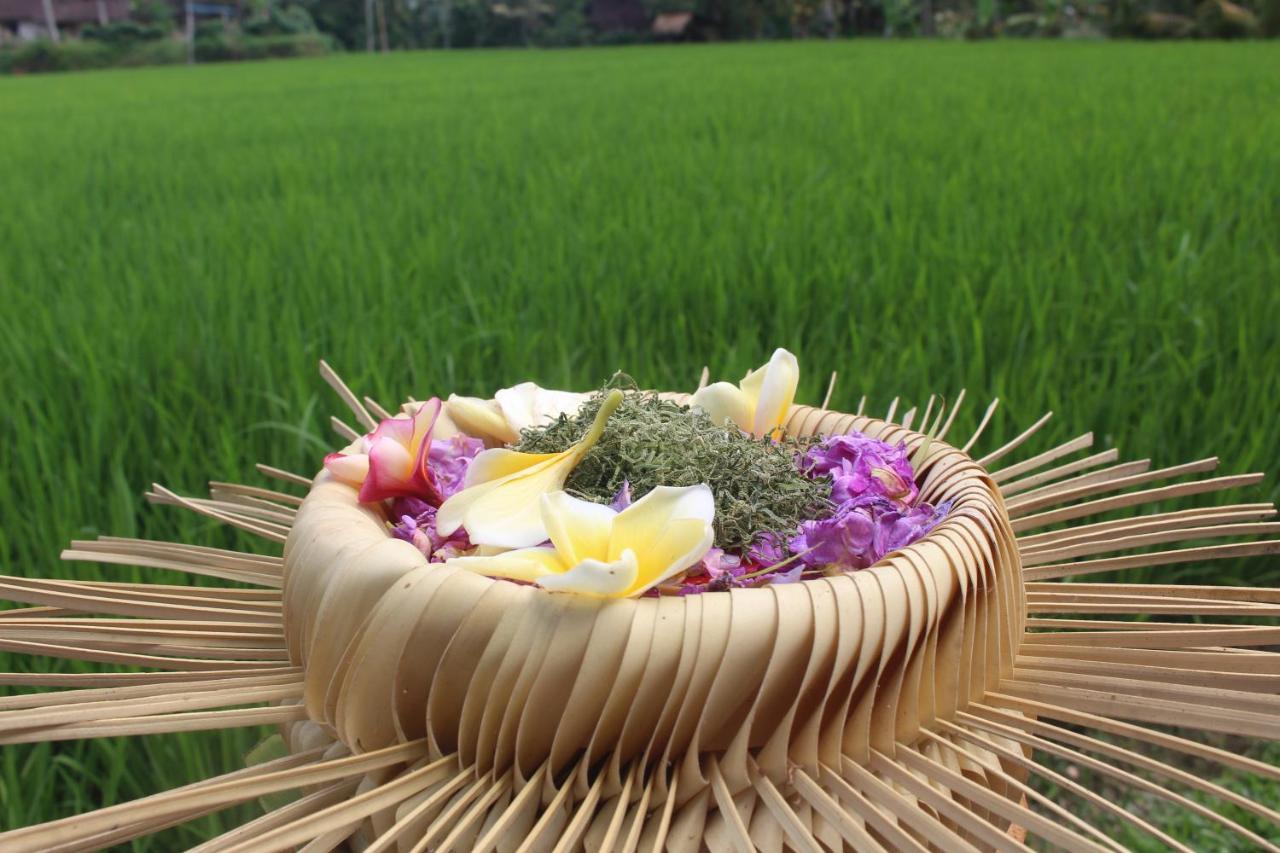 Keliki Luxury Lodge Ubud  Exterior photo