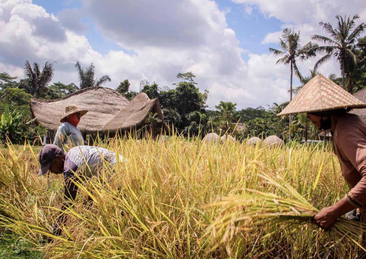 Keliki Luxury Lodge Ubud  Exterior photo